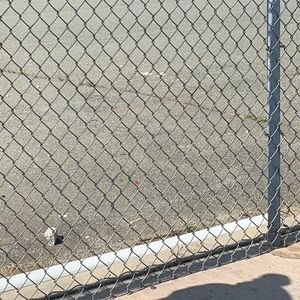 Meet your Posher, Phoenix